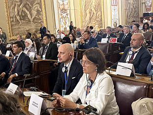 БиХ - Парламентарна скупштина - Унија за Медитеран