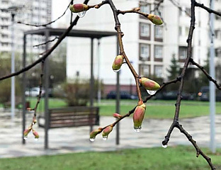 СУТРА ПАДАВИНЕ, ПОЈАЧАН ВЈЕТАР И ПАД ТЕМПЕРАТУРЕ