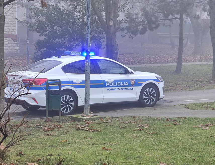 ЗАГРЕБ, 12. АПРИЛА /СРНА/ - На подручју Велике Горице жена је починила самоубиство скоком са стамбене зграде, а полиција је у стану пронашла тијело малољетнице за коју се сумња да је жртва насилне смрти, саопштено је из Полицијске управе загребачке.